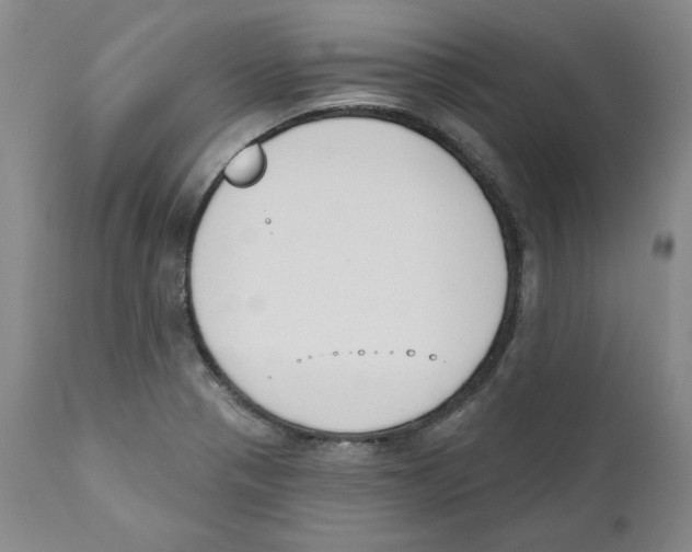 X0000110741321200907131111