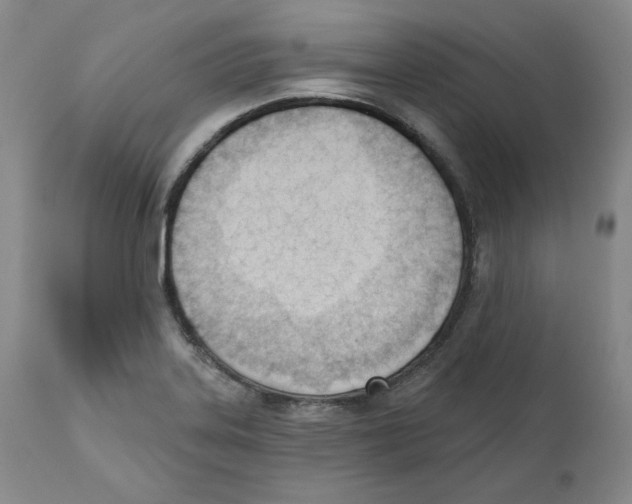 X0000110741323200907131112