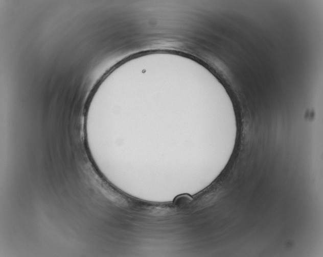 X0000110741324200907131112