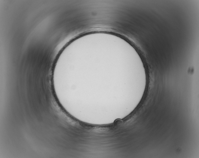 X0000110741325200907131112