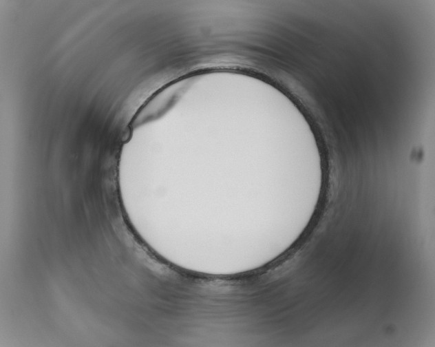 X0000110741329200907131112