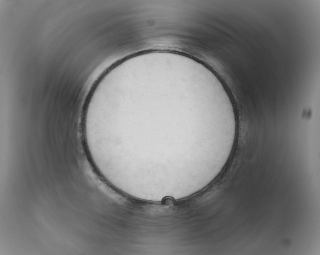 X0000110741331200907131112
