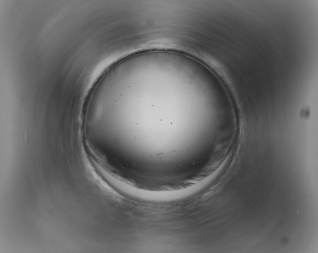 X0000110741334200907131112