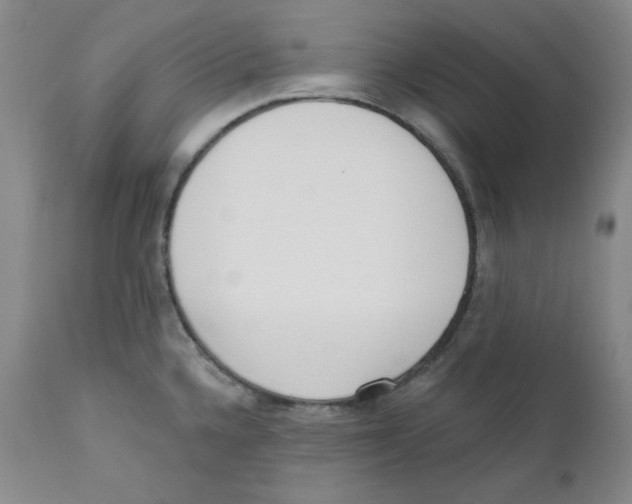 X0000110741336200907131112