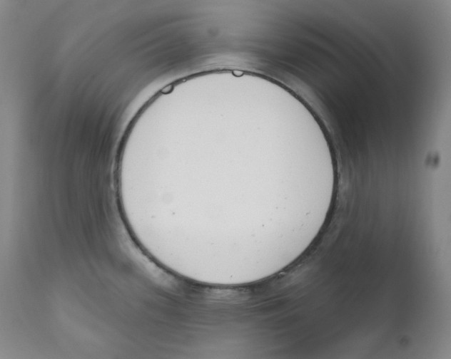 X0000110741339200907131112