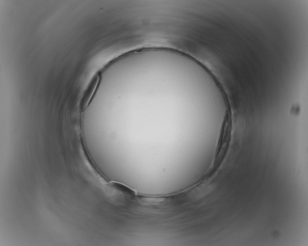 X0000110741342200907131112