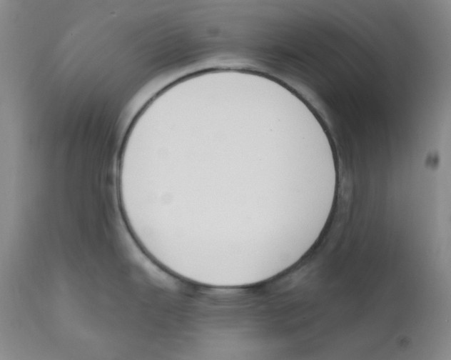 X0000110741343200907131112