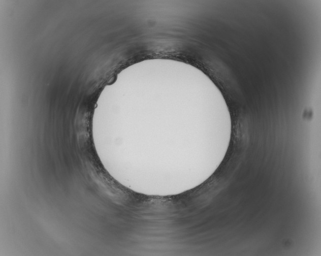 X0000110741346200907131111