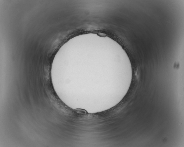 X0000110741348200907131111