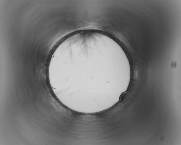 X0000110741356200907131111