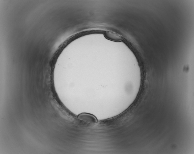X0000110741360200907131111