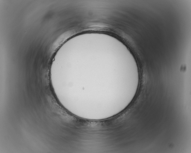 X0000110741362200907131111