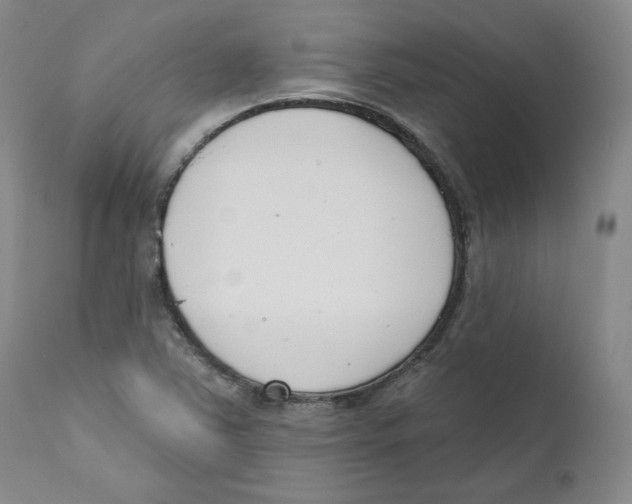 X0000110741363200907131111