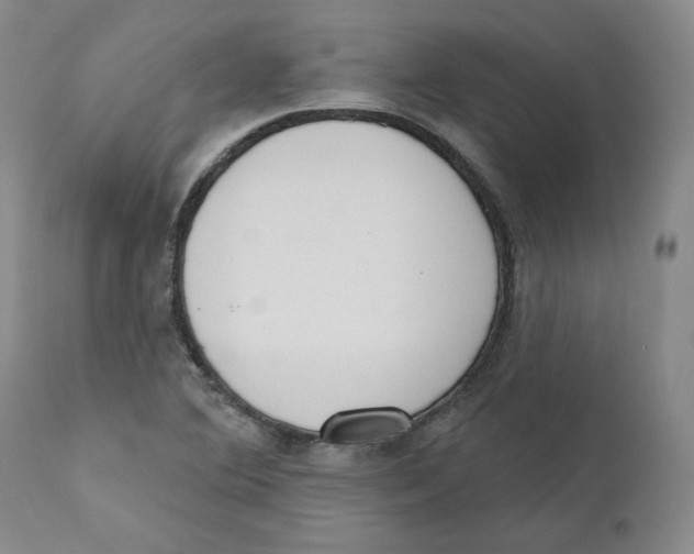 X0000110741364200907131111