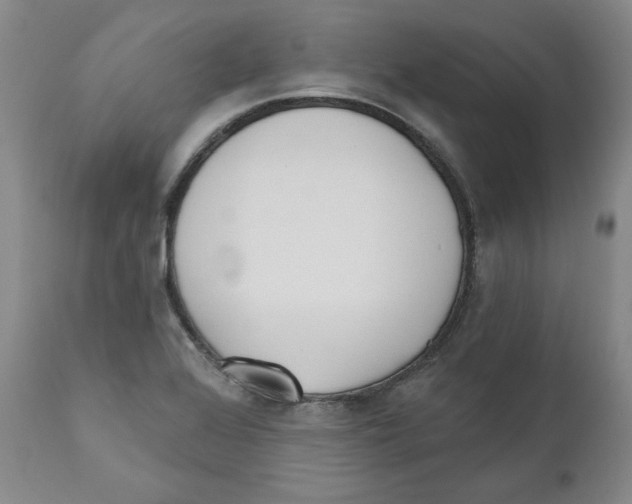 X0000110741368200907131111