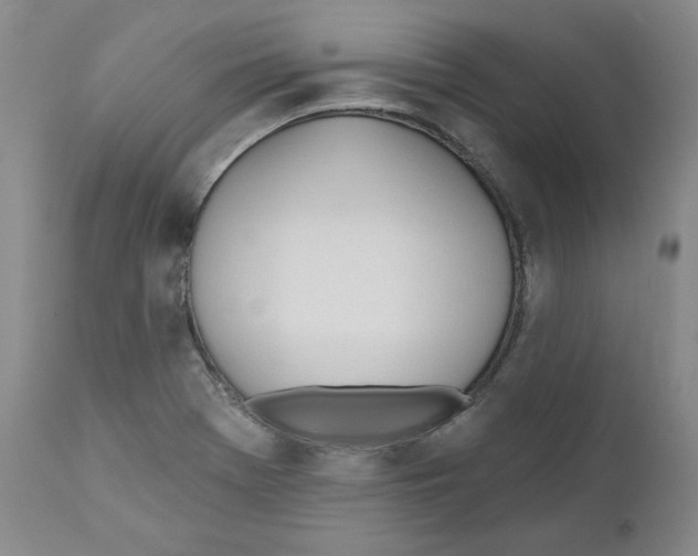 X0000110741369200907131111