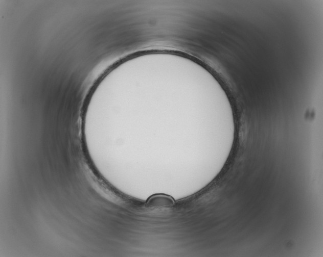 X0000110741372200907131111