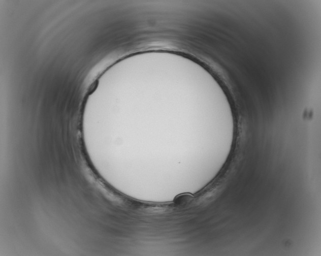 X0000110741373200907131111