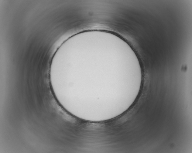 X0000110741374200907131111