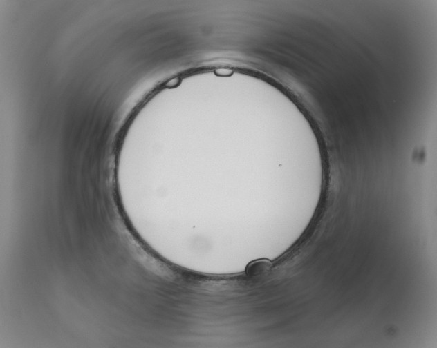 X0000110741376200907131111