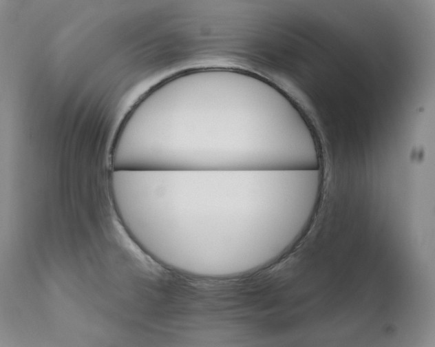 X0000110741380200907131110
