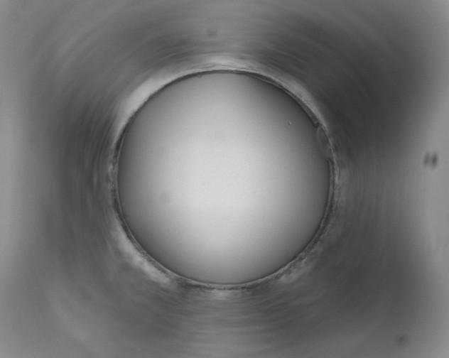 X0000110741381200907131110