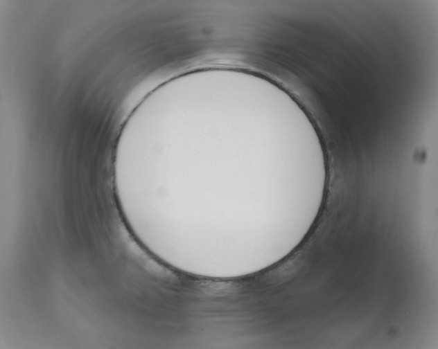 X0000110741382200907131110