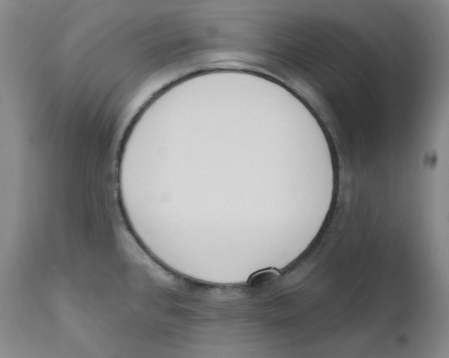X0000110741384200907131110
