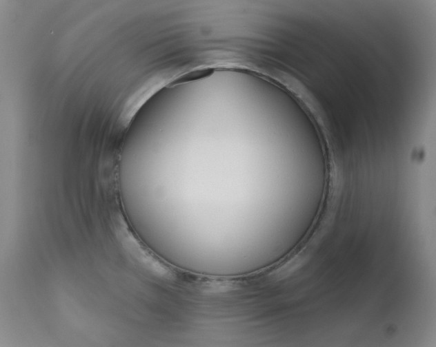 X0000110741385200907131110
