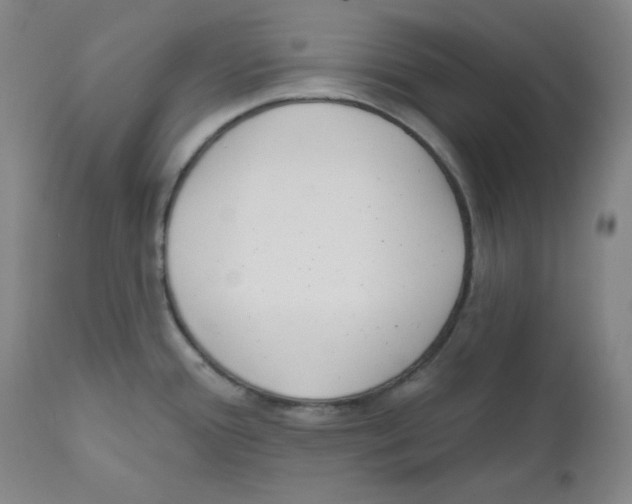 X0000110741388200907131110