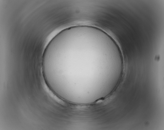 X0000110741389200907131110