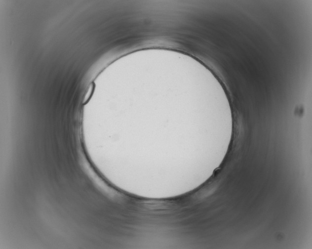 X0000110741391200907131110