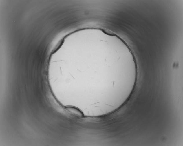 X0000110741392200907131110