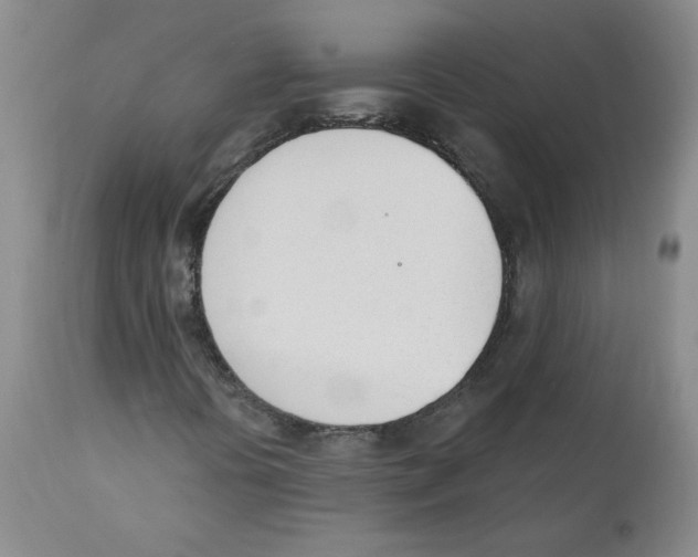 X0000110741394200907131110