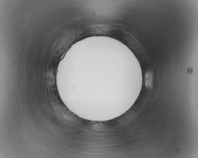 X0000110741395200907131110
