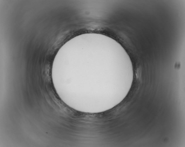 X0000110741396200907131110