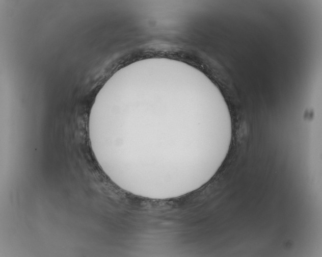 X0000110741397200907131110