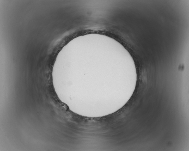 X0000110741398200907131110