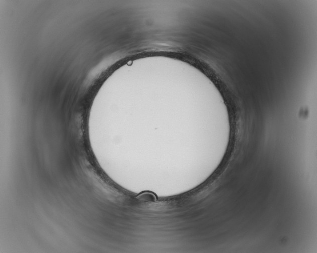 X0000110741402200907131110