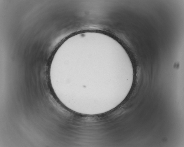X0000110741404200907131110