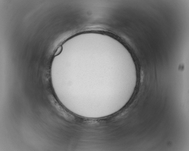 X0000110741405200907131110