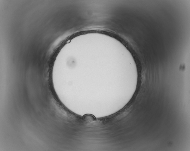 X0000110741406200907131110