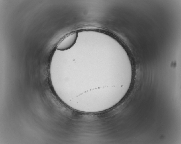 X0000110741407200907131110