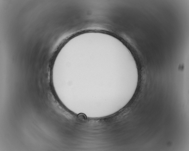 X0000110741408200907131110
