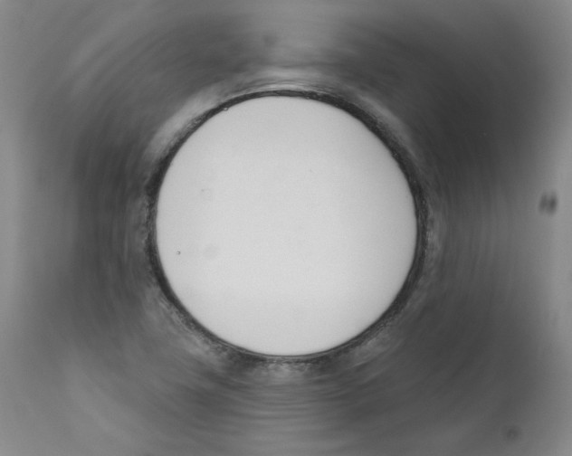 X0000110741411200907131110