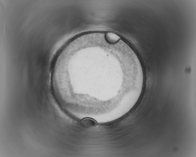 X0000110741414200907131110