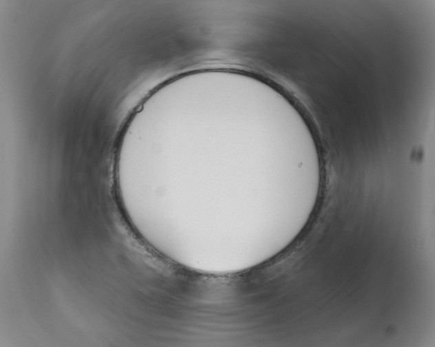X0000110741415200907131110