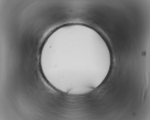 X0000110741416200907131110