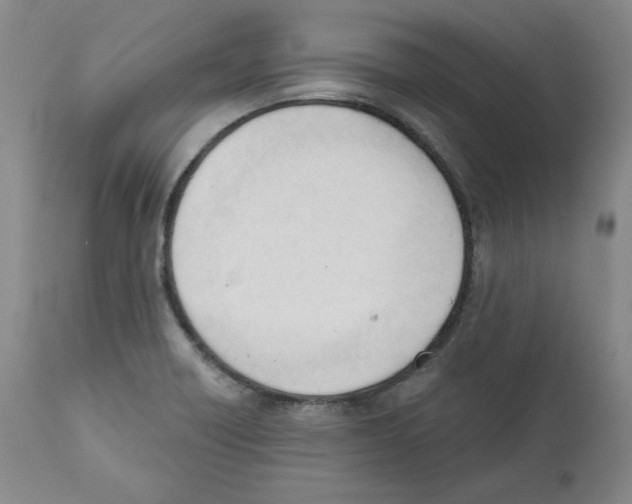X0000110741418200907131110