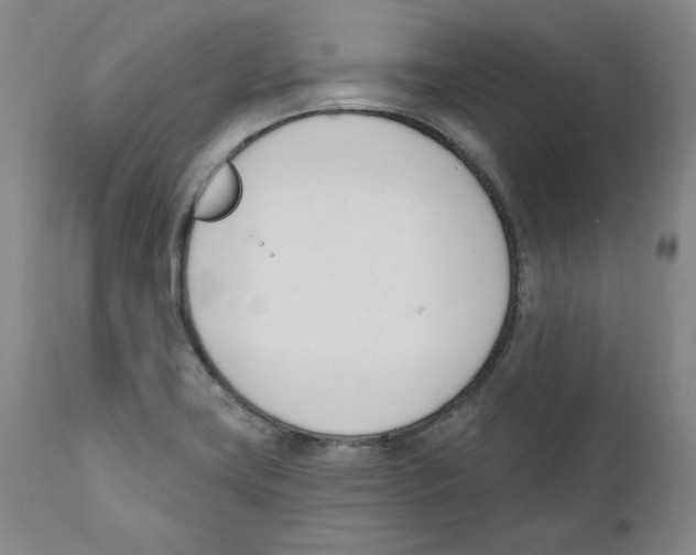 X0000110741419200907131110